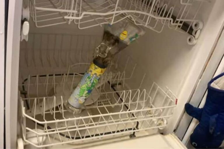 Can You Put a Bong in the Dishwasher?