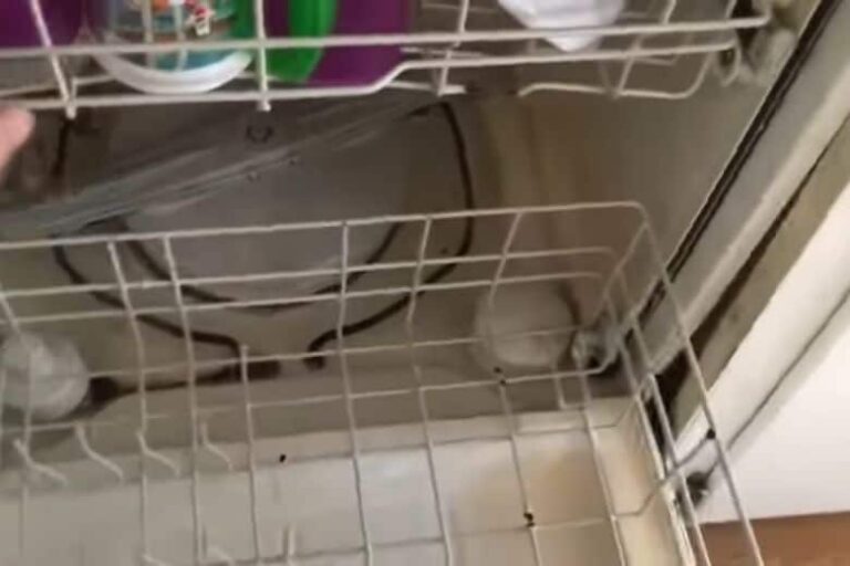 KitchenAid Dishwasher Won’t Fill with Water? Cause and Solution