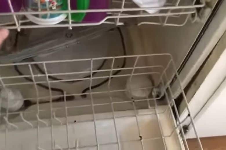 KitchenAid Dishwasher Wont Fill with water